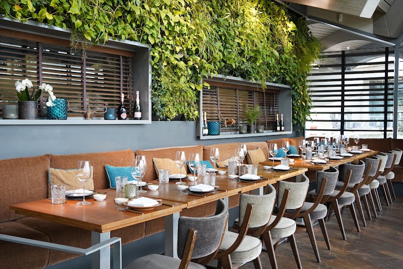 Restaurant mit Elbblick — Coast by East Hamburg